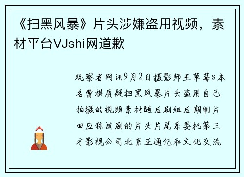 《扫黑风暴》片头涉嫌盗用视频，素材平台VJshi网道歉