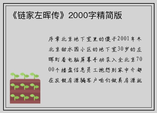 《链家左晖传》2000字精简版