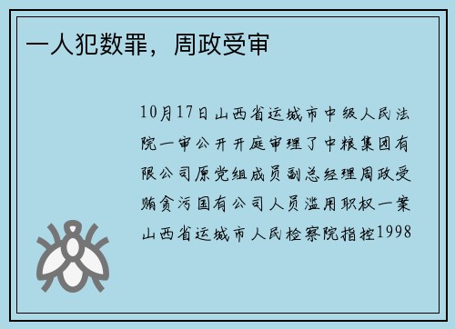 一人犯数罪，周政受审
