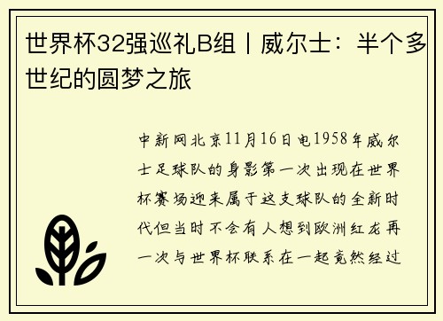 世界杯32强巡礼B组丨威尔士：半个多世纪的圆梦之旅